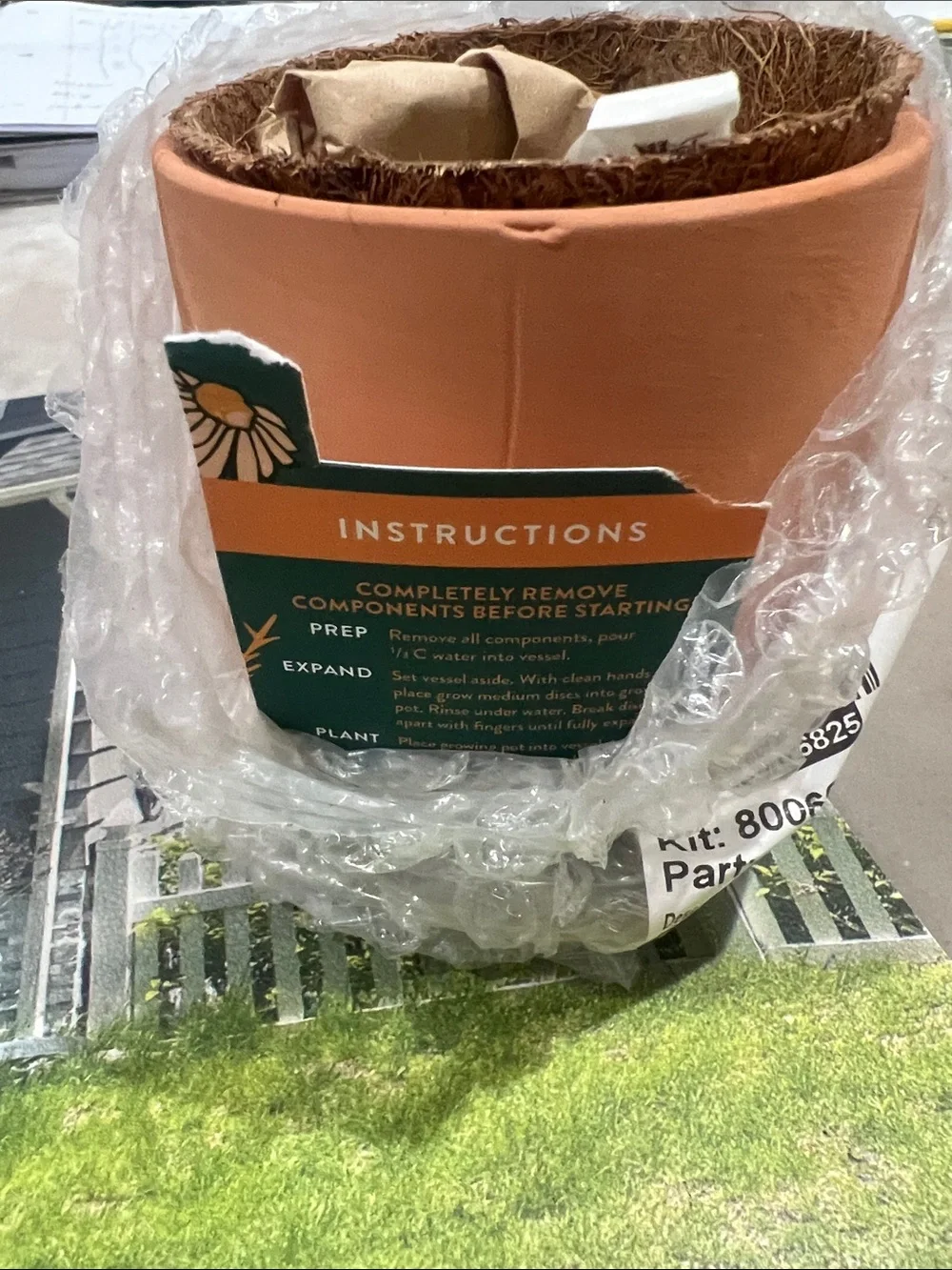 N/A terracotta grow